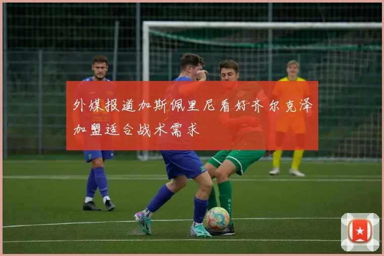 外媒报道加斯佩里尼看好齐尔克泽加盟适合战术需求